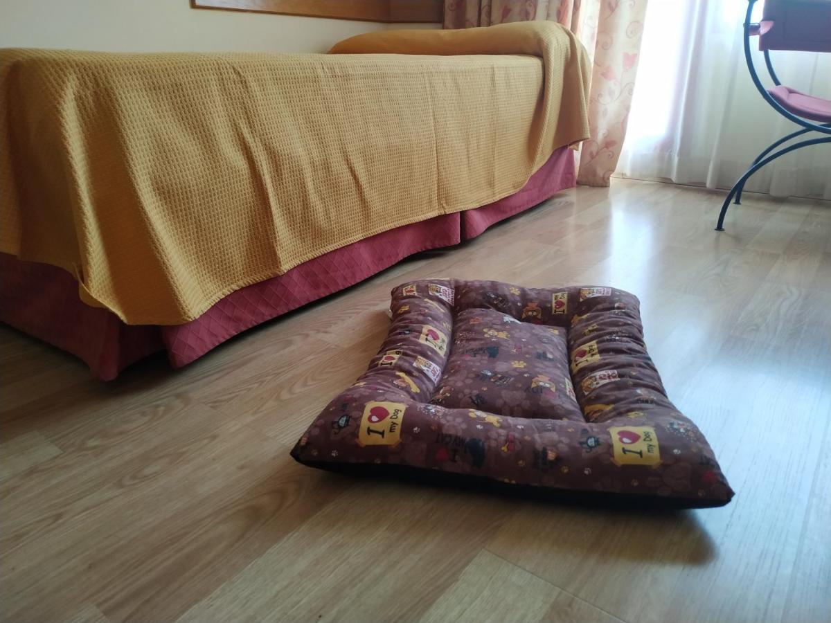 área De Servicio El Cruce Manzanares
